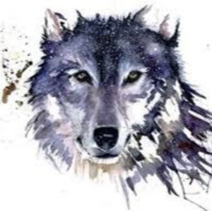 Meet your Posher, Elijah